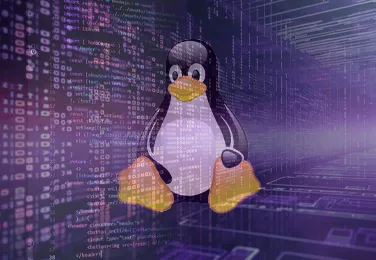 Linux Training Lab